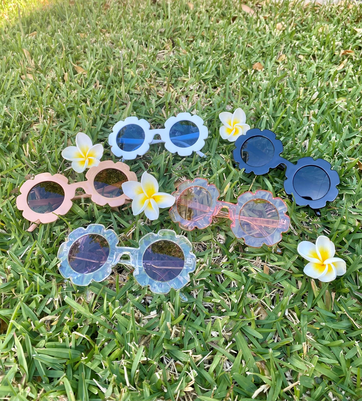 Fashion Sunglasses